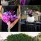 Popular Fall Wedding Color Trends Ideas33